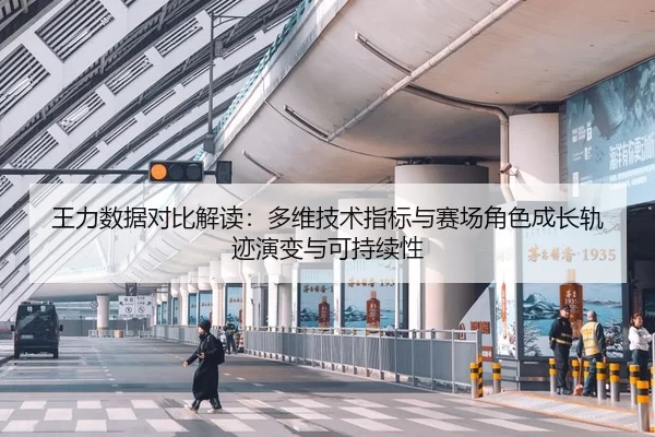 王力数据对比解读：多维技术指标与赛场角色成长轨迹演变与可持续性
